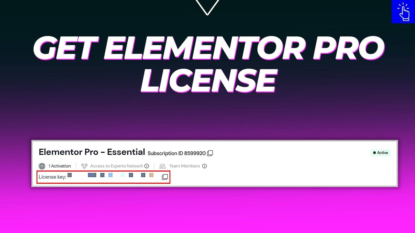 如何获得Elementor Pro许可密钥